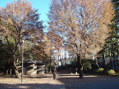c0105785_95454.jpg