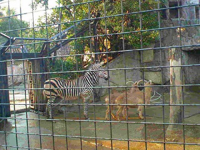 a0024005_1650512.jpg