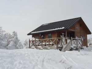 e0070606_834857.jpg