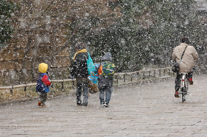 街角ニャンコ・瞬間雪国景色_f0032011_19523790.jpg