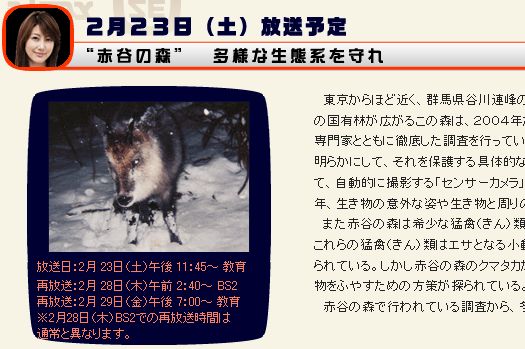 サイエンスZERO_c0025115_1940294.jpg