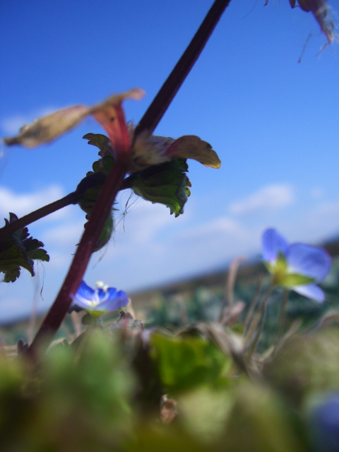 富山や京都のおやつは　なにかしら？_c0077330_20543030.jpg