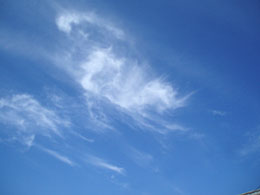 ＊電話 という機械の 不思議_a0030038_17223471.jpg