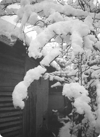 はじめての雪 1964_f0118538_0282049.jpg