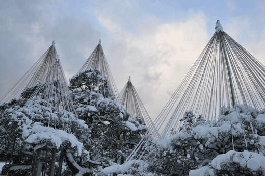 c0093046_656302.gif