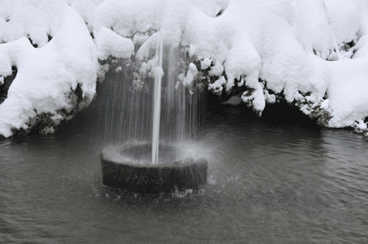 c0093046_6572089.gif
