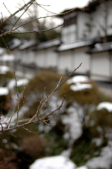 温泉と旅館と雪と：　長野・別所温泉　2008年2月_d0008146_16205691.jpg