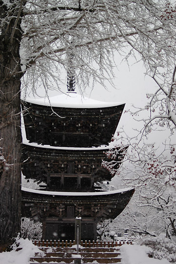 温泉と旅館と雪と：　長野・別所温泉　2008年2月_d0008146_16312026.jpg