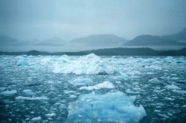 f0140054_20204995.jpg