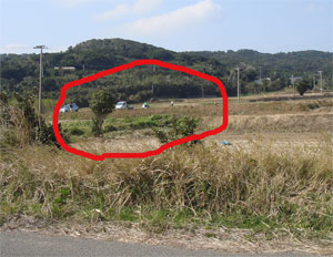 d0096356_02412.jpg