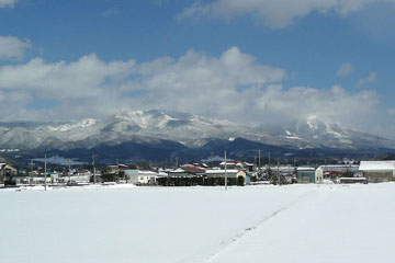 a0083760_201249.jpg