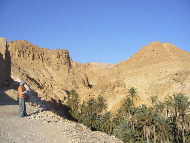 ２月２１日（木）チュニジア旅行４日目②タメルザの廃墟_f0060461_11511033.jpg