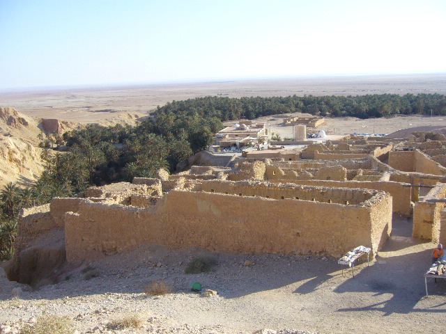 ２月２１日（木）チュニジア旅行４日目②タメルザの廃墟_f0060461_11535316.jpg