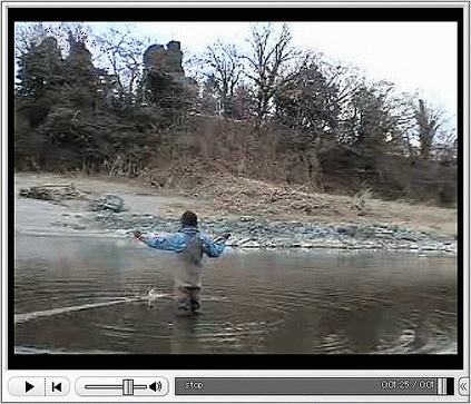 f0084561_14124822.gif
