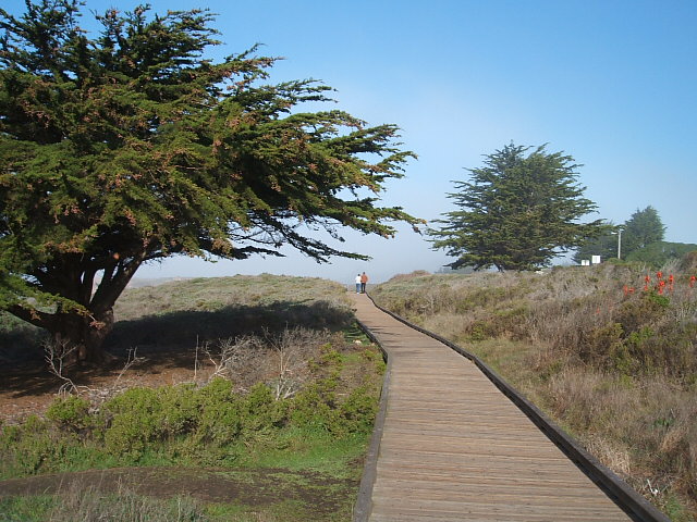 c0115366_12551724.jpg