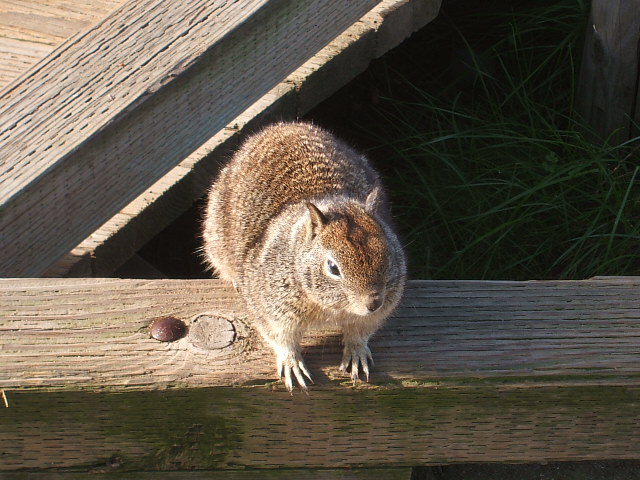 c0115366_1258125.jpg