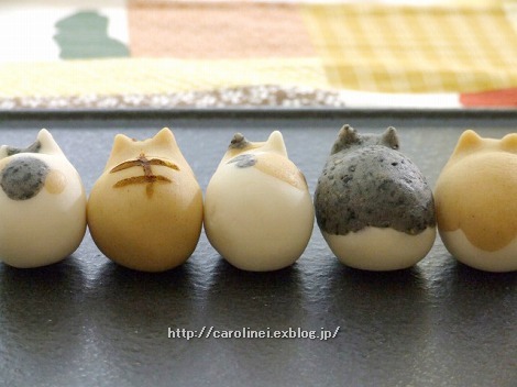 猫の日_d0025294_15393153.jpg