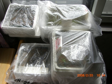 c0151898_1158395.jpg