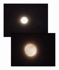 c0051107_23255999.jpg