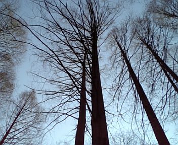 a0087120_2314357.jpg