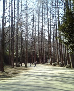 a0087120_2353229.jpg
