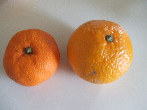 a0054240_224766.jpg