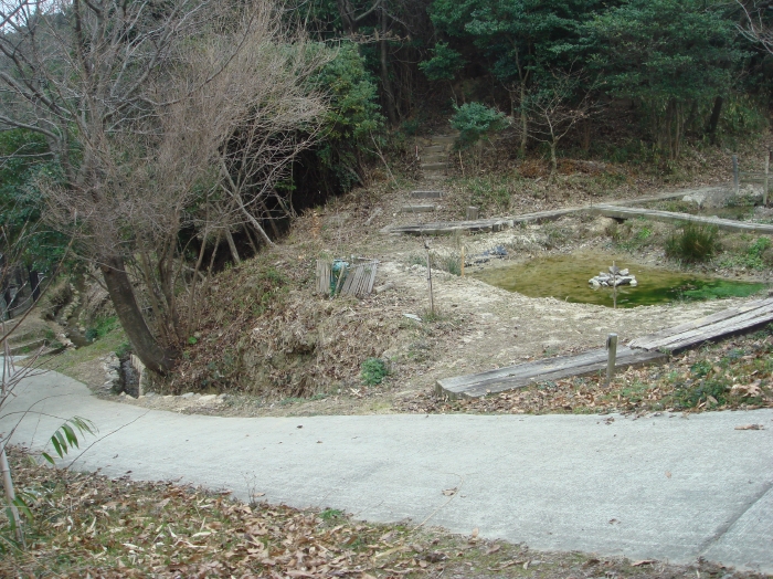 せんなん里海公園の今_c0108460_17342740.jpg