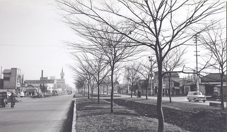 e0019860_01296.jpg