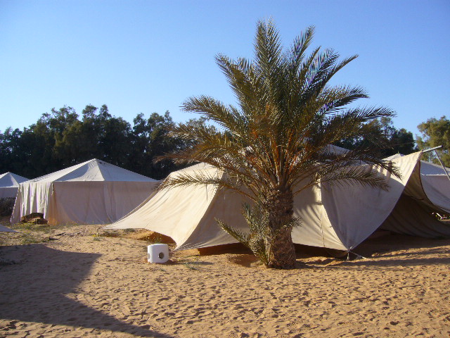 ２月２２日（金）チュニジア旅行５日目・・・いよいよサハラ砂漠へ_f0060461_8301024.jpg