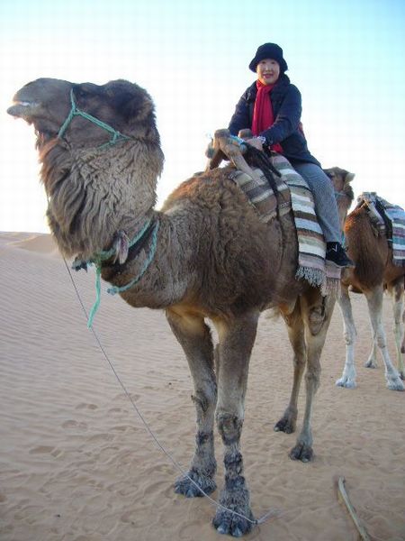 ２月２２日（金）チュニジア旅行５日目・・・いよいよサハラ砂漠へ_f0060461_8415313.jpg