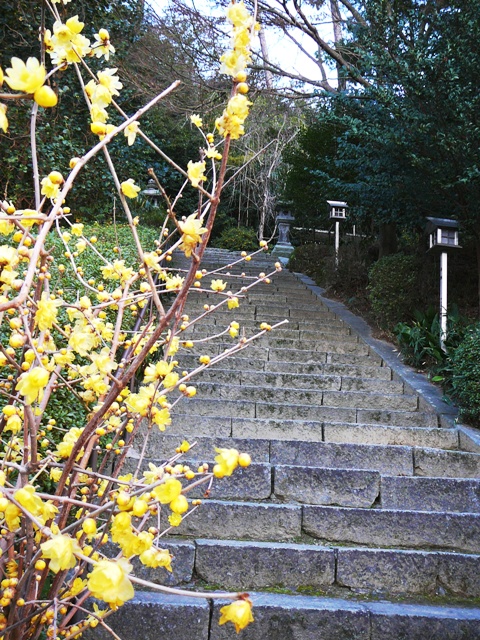 d0042474_044279.jpg