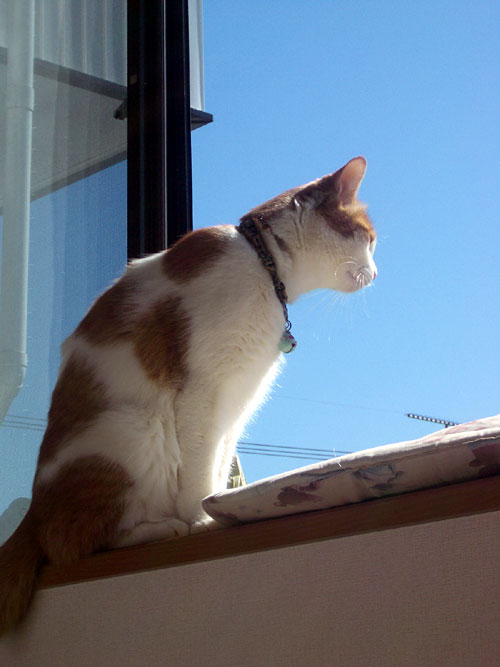 f0007676_11322691.jpg