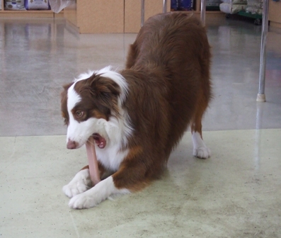 f0077697_1936033.jpg