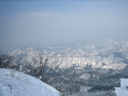 c0147398_0303412.jpg