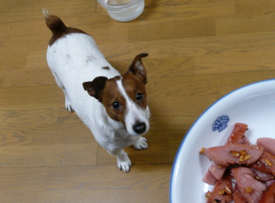 f0146198_2039448.jpg