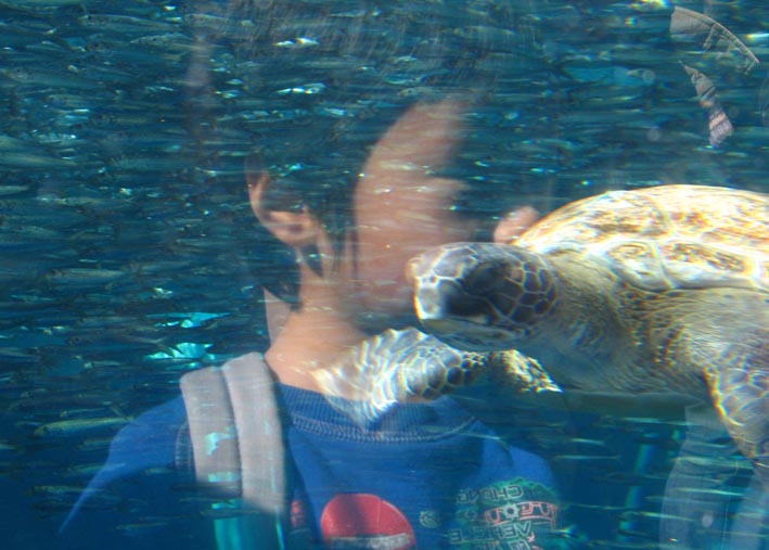 e0064400_13345347.jpg