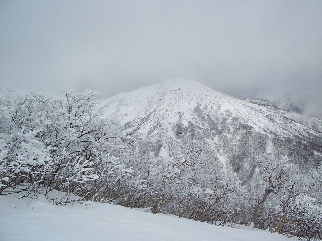 e0137200_23776.jpg