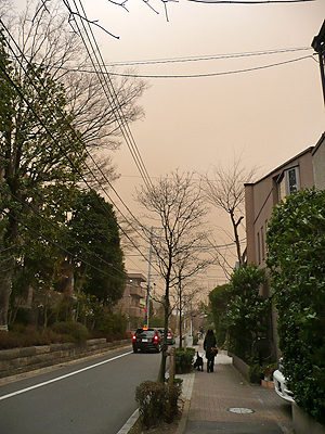 春一番_b0014003_17104551.jpg