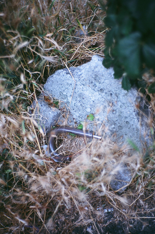 d0118803_22444730.jpg