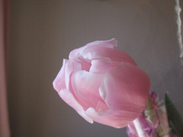 c0143812_22583384.jpg