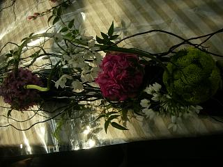 c0102228_20977.jpg