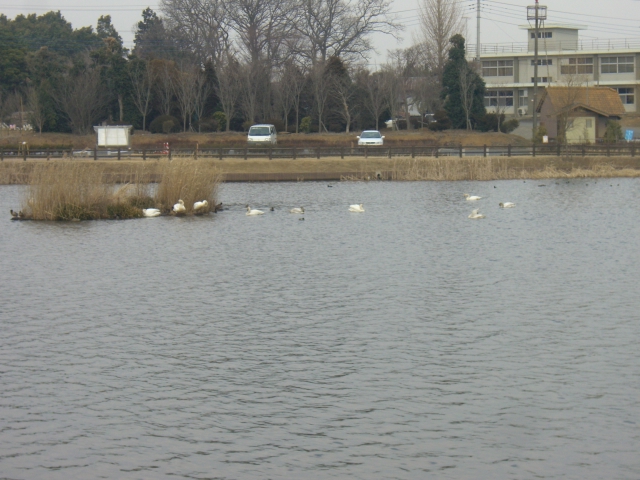 c0123029_14225939.jpg