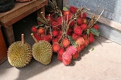 f0039933_23263485.jpg