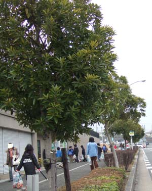 f0142733_20474762.jpg