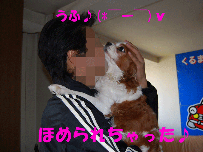 c0136838_19202592.gif