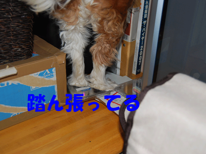 c0136838_1930375.gif