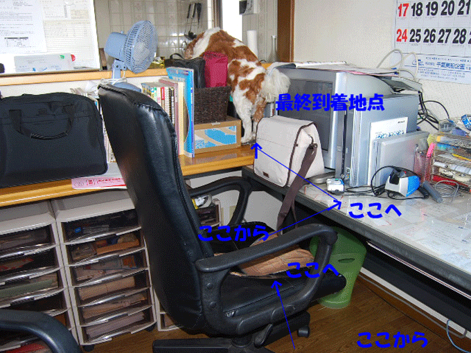 c0136838_1975051.gif