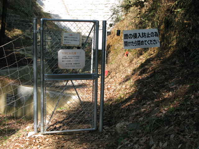 タマのその後と、山登りに。_f0137544_2102446.jpg