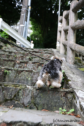 うんとこどっこいしょ。_c0024345_16211693.jpg