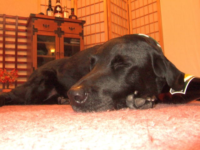 c0039145_0261961.jpg